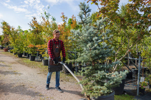 Best Fruit Tree Pruning  in Lake Meade, PA